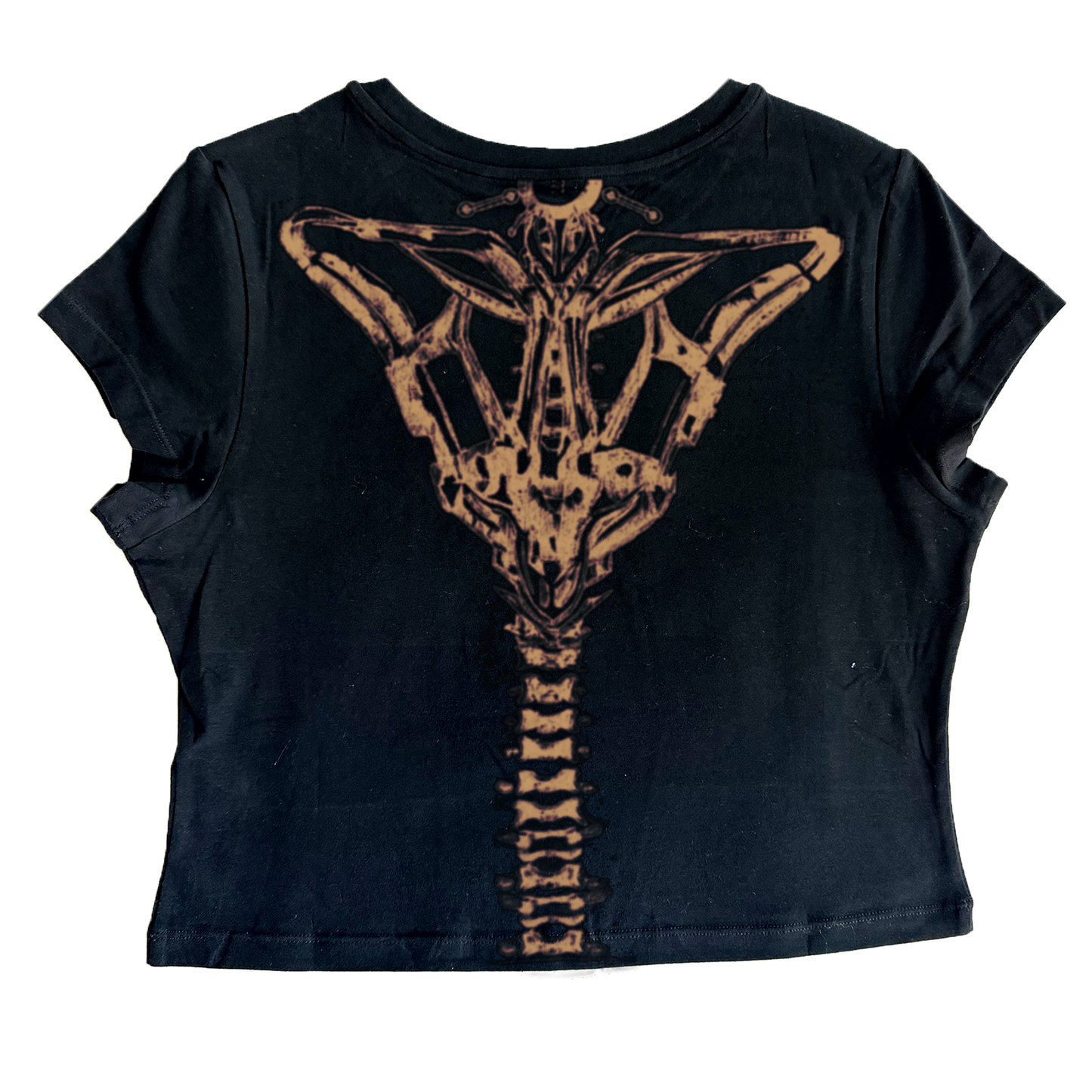 CALEB- fitted tee