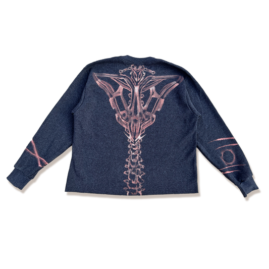 CALEB thermal