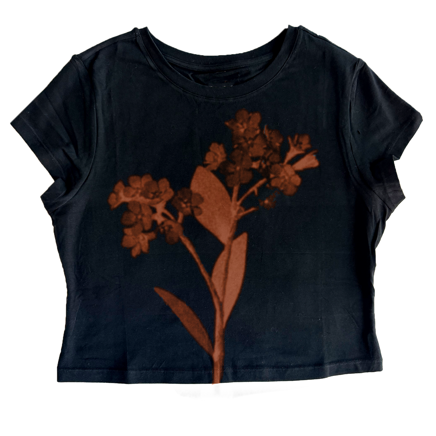 XAVIER- fitted tee